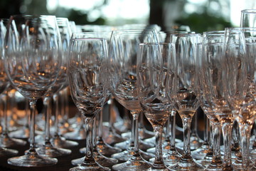 selective focus on rows of empty champagne glasses