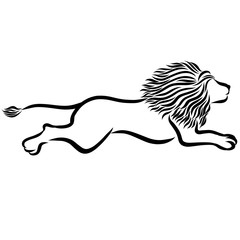 fast running lion with a magnificent mane