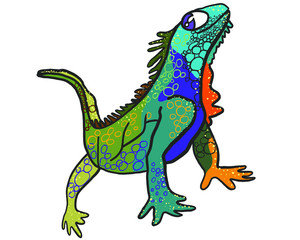vector illustration, lizard, iguana chameleon, isolated cartoon illustration, postcard
