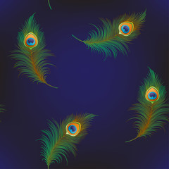 Peacock feathers Seamless pattern, background. Colored vector illustration on dark blue background