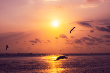 The background of sunset with flying seagull at Bangpu Recreation Center, the gulf of Thailand