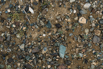 The texture of fine stone on the ground with grass and flowers. Background Image Macro Photography