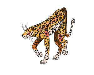 vector illustration of wild cat, leopard, Cheetah, predator on white background
