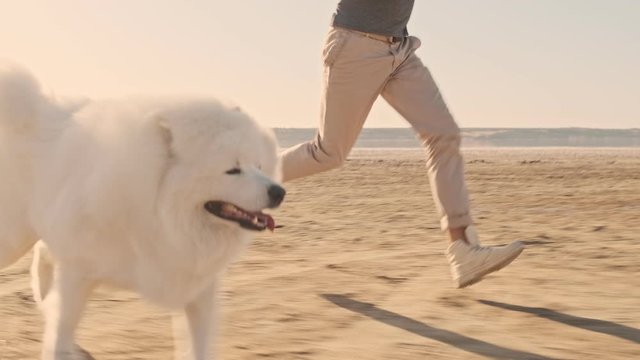 A young couple man and woman are running with a dog samoyed on the lake in summer