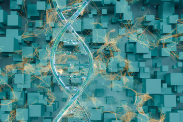 DNA and chromosomes,genes and inheritance,3d rendering.