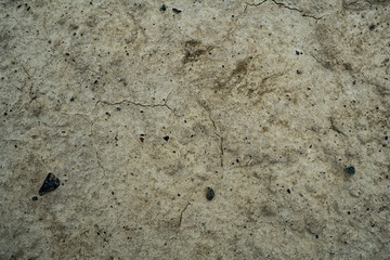 Texture of dried cracked clay. Macro background image of dried clay