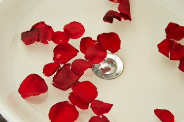 Red flower petals floating on sink 