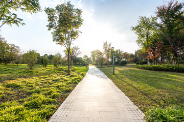 road in park