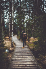 Young man on the forest path - czech nature