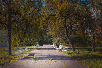 Vojanovy Sady, Park, Prague, Czech Republic, Autumn 6