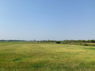 Fototapeta premium view of a green meadow under the blue sky as beautiful natural background