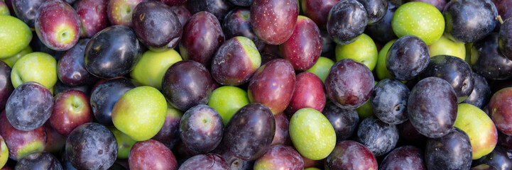 Panoramic background of green and black fresh olives