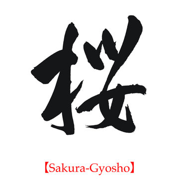 桜（筆文字・手書き・行書体）