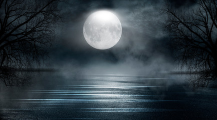 Dramatic nature background. Terrible forest at night. Cloudy night sky, moonlight, reflection on...