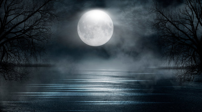 Dramatic nature background. Terrible forest at night. Cloudy night sky, moonlight, reflection on the pavement. Smoke and fog on a dark street at night.