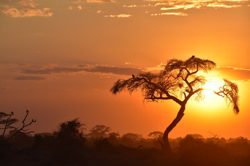 Fototapeta na wymiar Sonnenuntergang Afrika