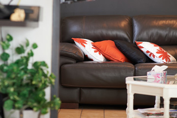sofa in living room