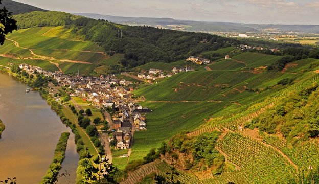 &Uuml;rzig an der Mosel