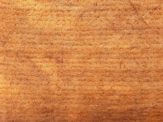  Coconut meal texture