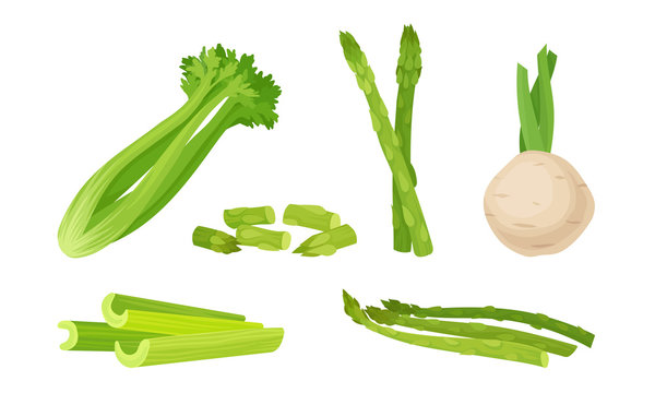 Green Vegetables with Celery and Asparagus Sticks Vector Set