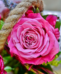 pink rose in arrangement, soft focus