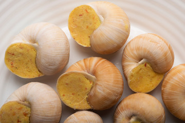 still life of stuffed snail sauce, on a white background