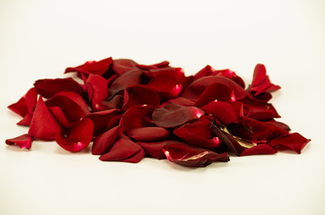 rosary red romantic on white background