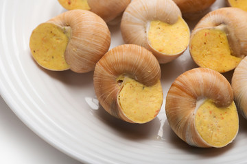 still life of stuffed snail sauce, on a white background