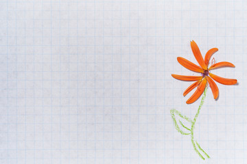 Notebook sheet of paper with a painted flower with real gerbera petals. There is a lot of space for text on a white background.