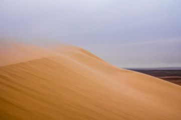 Fototapeta na wymiar Sand storm in the Arabian desert 