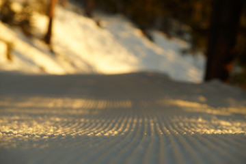 Closeup of snow surface of mountain slope during sunrise. Warm colors, shadows on snow, background of snowy forest