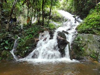 waterfall in forest