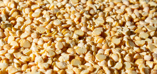 dry pea pattern food close up side view