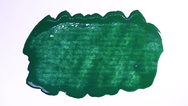 Brush painted drying green stain on a white sheet of paper.