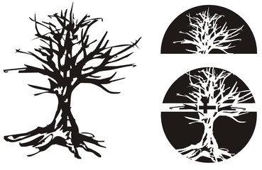 Black and white ornate tree symbols. Silhouette wood - three options. Vector graphics. Tree symbols in a circle, in a semicircle for your design