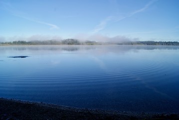 Lake view