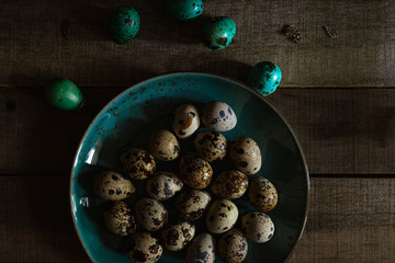 Quail eggs in teal colored plate, colored eggs on wooden rustic background, closeup view