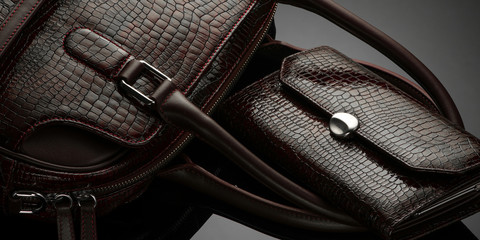 Designer women's bag and purse on a dark background