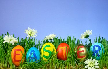 different colored easter eggs lie in a grass