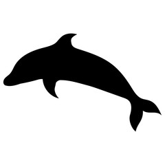 black silhouette of a jumping dolphin marine animal