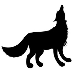 silhouette of a black wolf stands with his head raised