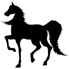 Fototapeta na wymiar silhouette black horse stands with raised leg and long curls