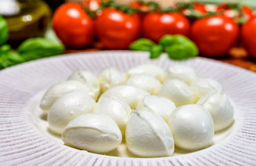 Cheese collection, white mini mozzarella cheese balls for salad or for appetizer snacks