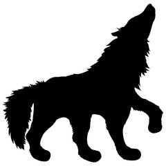 black silhouette of wild animal howling wolf standing with raised paw and fluffy shaggy tail