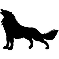 black silhouette of wild animal howling wolf standing with fluffy shaggy tail