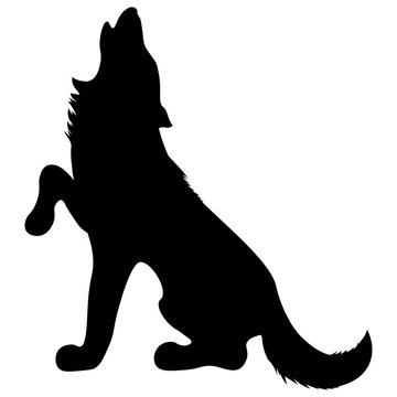 black silhouette of a wild animal howling wolf sits with a raised paw and a fluffy shaggy tail