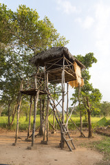 Elephant viewing platform for spotting wild elephants that may threaten the village. Sri Lanka.