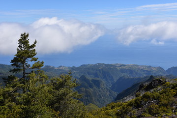 Naklejka premium Landscape of green mountains of Madeira Island - view from the trial to Pico Ruivo.