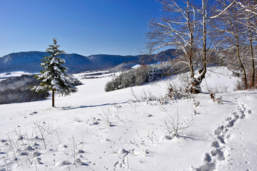 Beautiful winter landscape. Snow covered trees in the mountains.