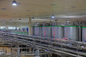 Mengniu Dairy (Luannan) limited liability company production line, Luannan County, Hebei Province, China